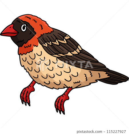Red Billed Quelea Bird Cartoon Colored Clipart Red Billed Quelea Bird Cartoon Colored Clipart 115227927