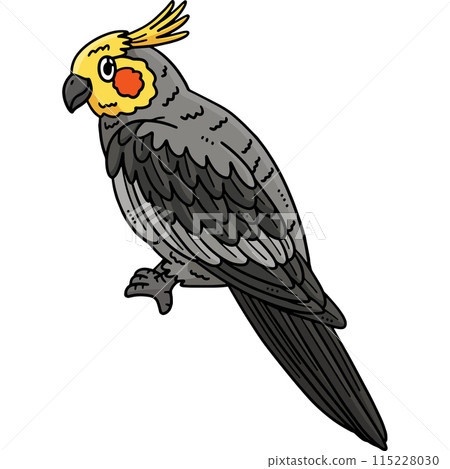 Cockatiel Bird Cartoon Colored Clipart  Cockatiel Bird Cartoon Colored Clipart  115228030