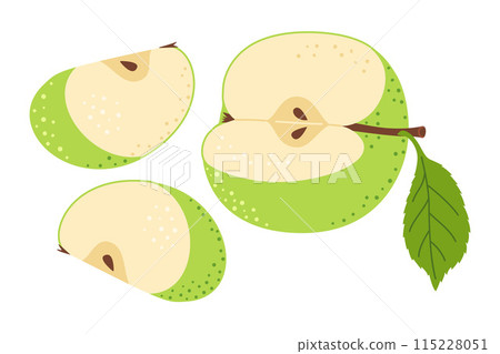 Green apple slice Hand drawn trendy flat style Green apple slice Hand drawn trendy flat style 115228051