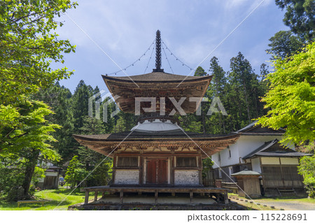 Koyasan KanagoriSanjoinTōpoTower 115228691