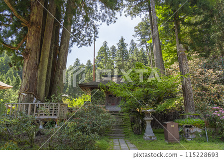 高野山、金剛三昧院、Sutra、六本杉 115228693