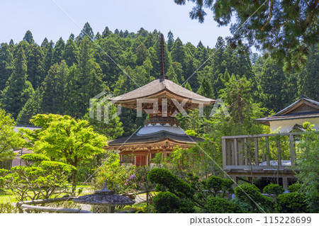 Koyasan KanagoriSanjoinTōpoTower 115228699