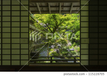 高野山金剛三昧院 古色古香的庭院 115228705