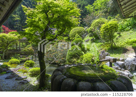 高野山金剛三昧院 古色古香的庭院 115228706