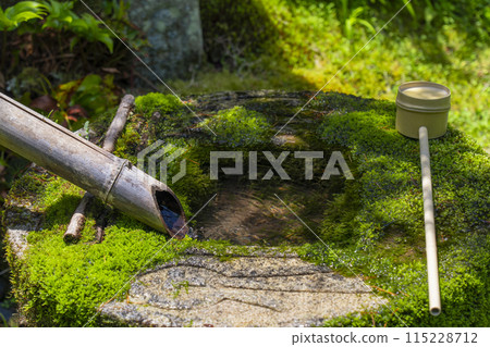 高野山金剛三昧院長滿青苔的洗臉盆 高野山金剛三昧院長滿青苔的洗臉盆 115228712