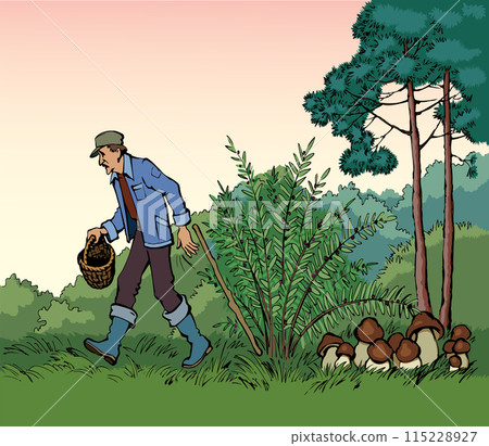 Vector drawing. Man picking mushrooms in the forest 115228927