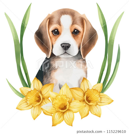 比格犬和水仙花 2 / 傳單和海報材料 115229610
