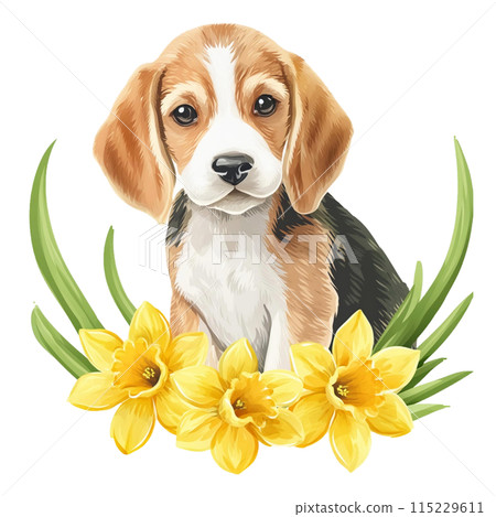 比格犬和水仙花 3 / 傳單和海報材料 比格犬和水仙花 3 / 傳單和海報材料 115229611