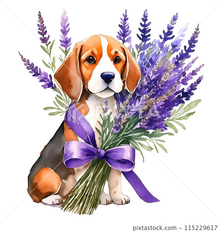 比格犬和薰衣草花 1 / 傳單和海報材料 115229617