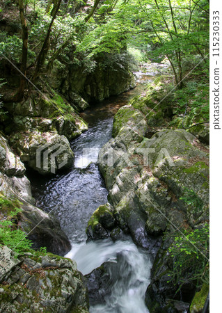 Shiraga Valley Shiraga Valley 115230333