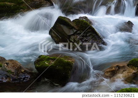 美麗的河流 美麗的河流 115230621