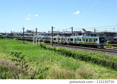 穿越鄉村的通勤列車:JR宇都宮線埼玉縣蓮田市黑濱貝塚 穿越鄉村的通勤列車:JR宇都宮線埼玉縣蓮田市黑濱貝塚 115230716