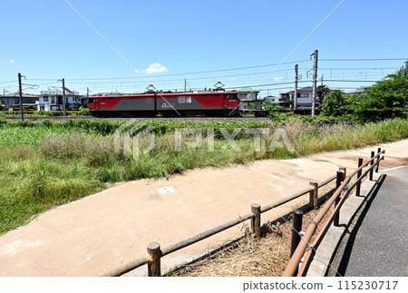 A Tohoku Main Line freight train running through a summer park under a blue sky and greenery 115230717