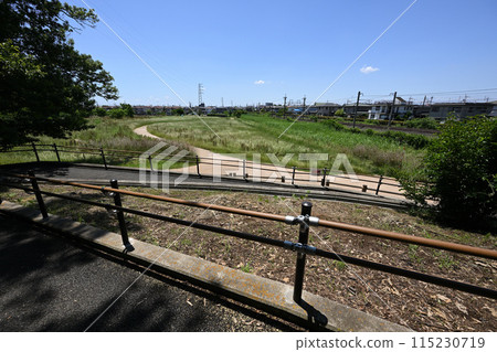 Looking down on the green landscape from the slope: Kurohama Shell Mound, Hasuda City, Saitama Prefecture 115230719