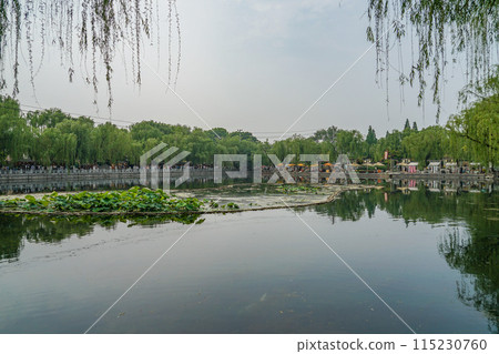 The pond on the south side of Daming Lake The pond on the south side of Daming Lake 115230760