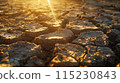 dry cracked earth after global warming. Concept of world climate changes, drought and lack of water 115230843