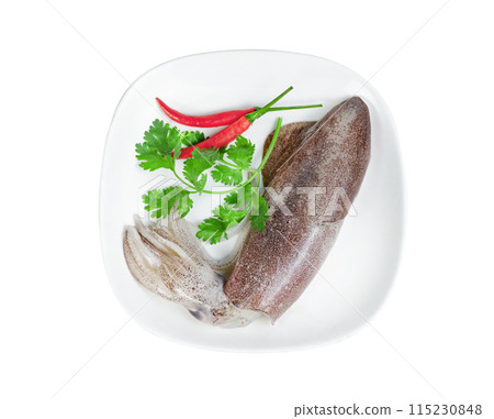 squid on dish with chili and coriander isolated 115230848