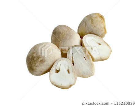 Straw mushroom isolated 115230859