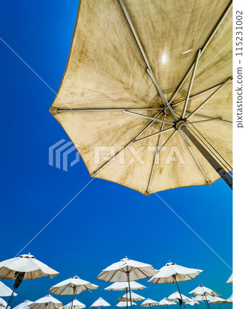 Abu Dhabi, Capital of the UAE. Abu Dhabi, Capital of the UAE. 115231002
