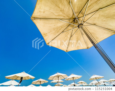 Abu Dhabi, Capital of the UAE. Abu Dhabi, Capital of the UAE. 115231004