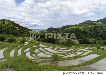 <千葉縣>小山千枚田 <千葉縣>小山千枚田 115231607