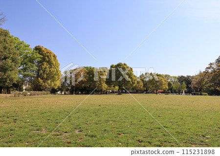 岩槻城址公園的草原廣場 岩槻城址公園的草原廣場 115231898