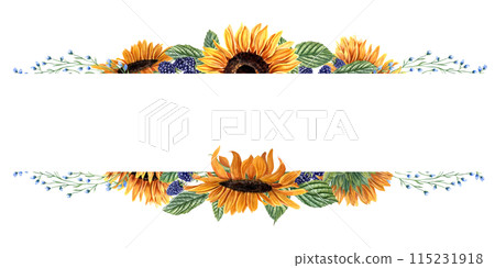 Frame with sunflower heads, blackberry and herbs. Horizontal long frame with flowers and berries. Blue, orange yellow plants. Floral summer design. Copy space for text. Watercolor illustration 115231918