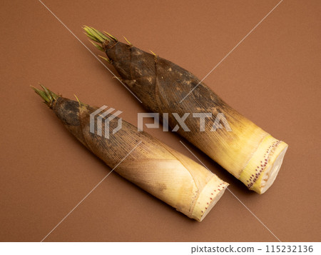 Bamboo shoots from Ishikawa Prefecture 115232136