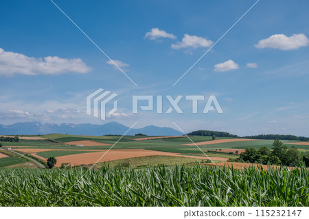 Farmland and mountain ranges on a clear summer day - Tokachi mountain range 115232147