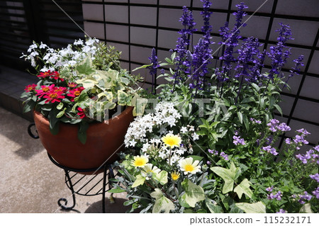 入口前種植花卉和盆栽 入口前種植花卉和盆栽 115232171