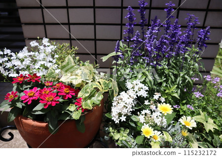 Flower arrangements and pots in front of the entrance 115232172