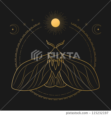 Celestial background with golden moth, sun and crescent moon. Magical, mystical concept. Vector illustration Celestial background with golden moth, sun and crescent moon. Magical, mystical concept. Vector illustration 115232197