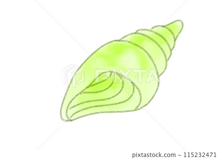 五顏六色的貝殼 五顏六色的貝殼 115232471