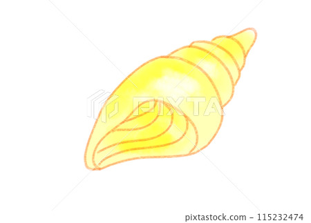 Colorful seashells Colorful seashells 115232474