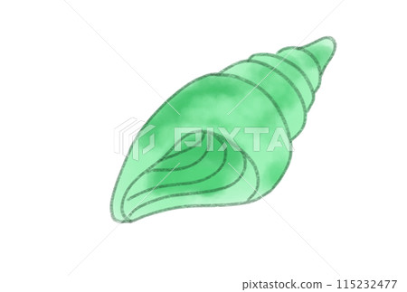 五顏六色的貝殼 五顏六色的貝殼 115232477