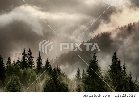 Misty mountain landscape 115232528