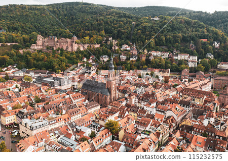 View of Heidelberg 115232575