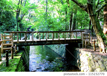 [Tokyo] Todoroki Valley in early summer: A small bridge over the Yazawa River and a walking path 115232770