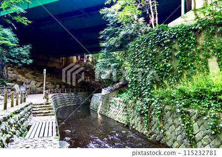 [Tokyo] Todoroki Valley in early summer - Tamazawa Bridge crossing the Yazawa River and a walking path 115232781