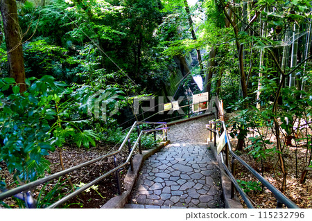 [東京]初夏的轟谷、通往步道和矢澤川的樓梯 115232796