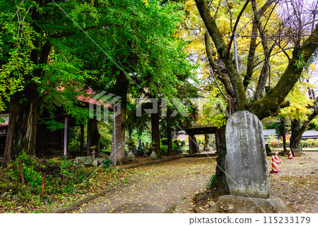 Scenery of the Daishido Hall of Iiyama Kannon Kongoji Temple 115233179