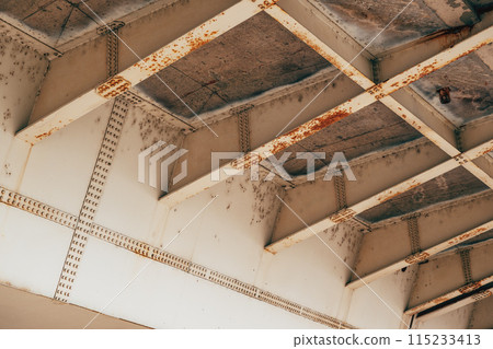 Metallic bridge lower section, low angle view 115233413