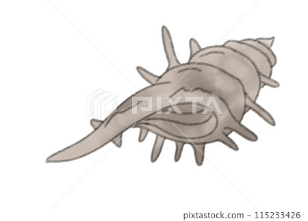 Colorful seashells Colorful seashells 115233426