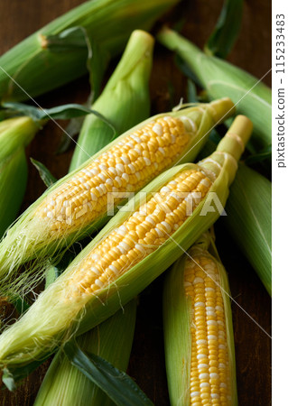 收穫的玉米 115233483