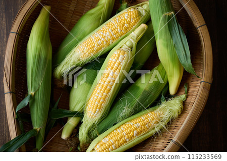 Harvested corn 115233569