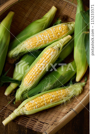 收穫的玉米 收穫的玉米 115233571
