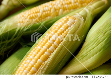 Harvested corn 115233758