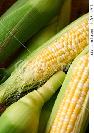 收穫的玉米 收穫的玉米 115233761