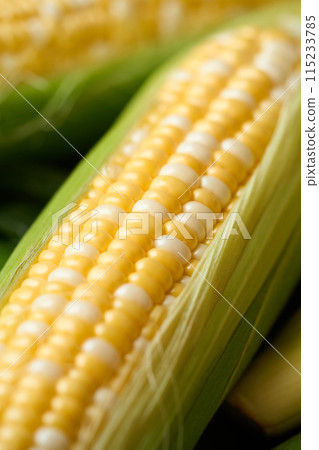 玉米特寫鏡頭 玉米特寫鏡頭 115233785