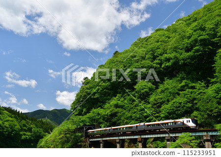 HC85系列特快「飛驒號」沿著清新的青山行駛 HC85系列特快「飛驒號」沿著清新的青山行駛 115233951